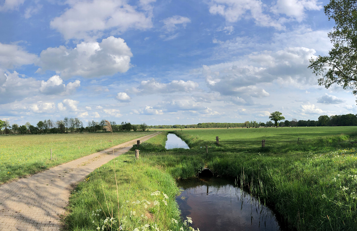 De natuur Wijthem